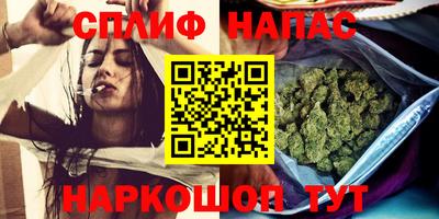 PSILOCYBIN Новоалтайск