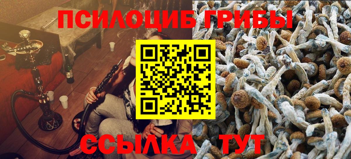 Псилоцибиновые грибы GOLDEN TEACHER  Вход с VPN  Вичуга 